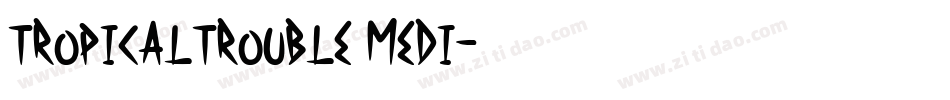 TropicalTrouble Medi字体转换